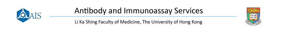 Antibody and Immunoassay Services, HKU